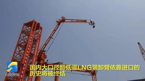 日照终结进口依赖 全国首台自动化打包机实现国产化